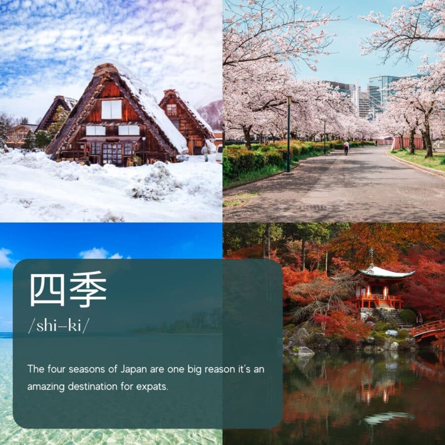 Is Japan or Portugal Better for Expats? The four seasons of Japan are one big reasons it's an amazing destination for expats.