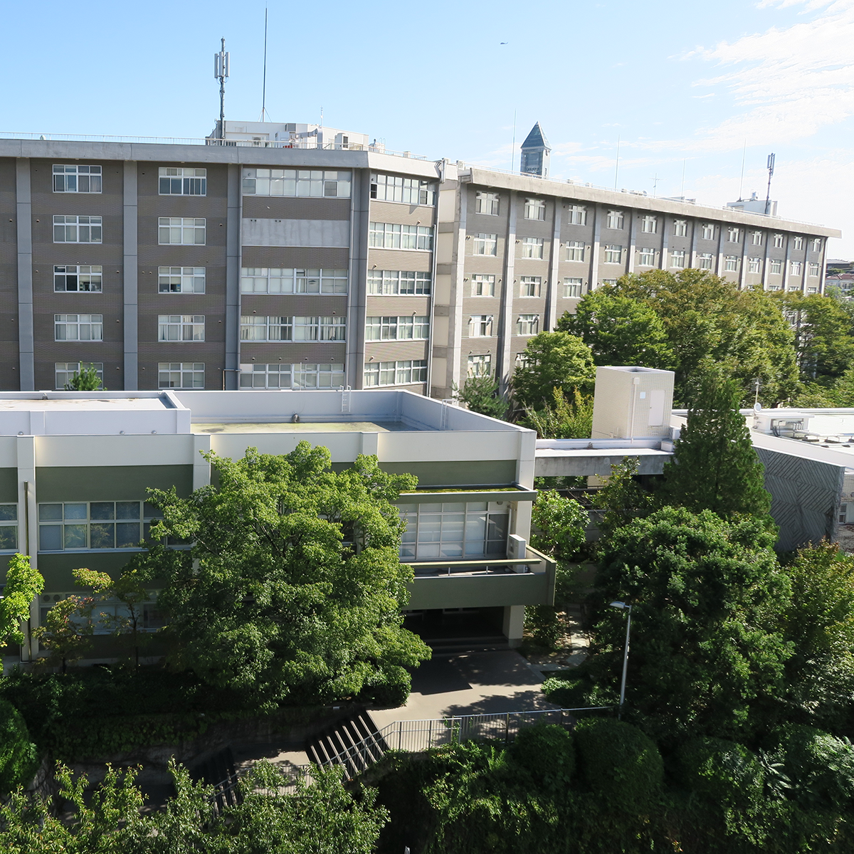 nagoya university english program